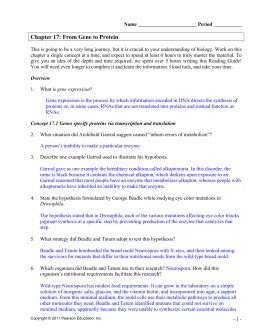 Student exploration building dna gizmo answer key pdf + my. Rna And Protein Synthesis Gizmo Worksheet Answers - Worksheet List