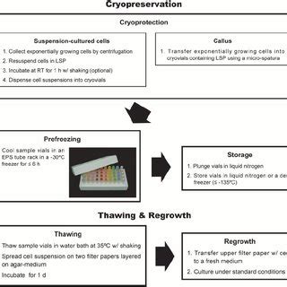 We did not find results for: (PDF) High-Throughput Cryopreservation of Plant Cell ...