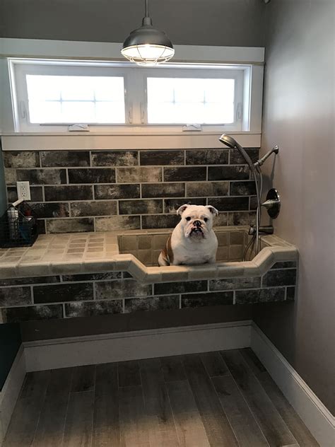 Create the design of your Barndominium Pet Wash Room or let