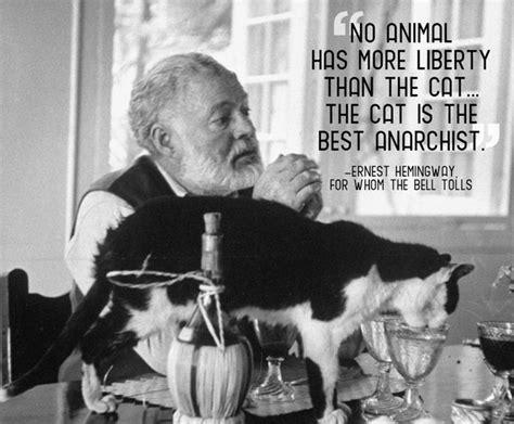 21 Quotes That Will Make You Want To Hug Your Pet Hemingway Cats Cat