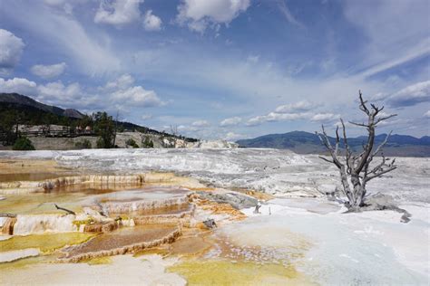 Yellowstone is a place of change, and this view highlights a place where change is constant and evident—the travertine terraces of mammoth hot springs. Come visitare Mammoth Hot Springs a Yellowstone
