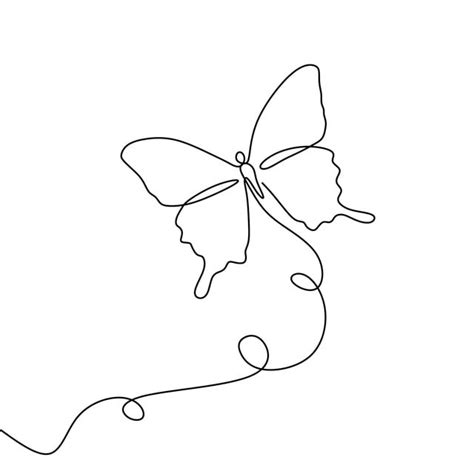 Butterfly Line Drawing Outline