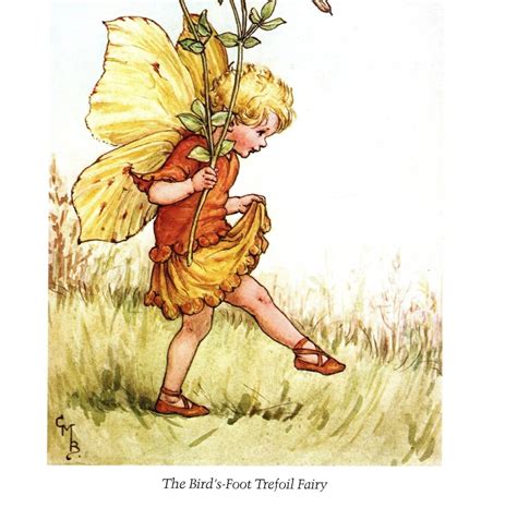 1981 Flower Fairies Of The Seasons Original Vintage Print Cicely Mary