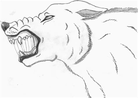 Wolf Snarl Drawing At Getdrawings Free Download
