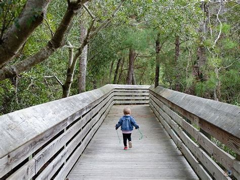 Hiking in North Carolina | 23 of the Best Trails in NC