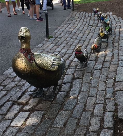Make Way for Ducklings! Boston Public Garden! (With images) | Boston public garden, Public garden