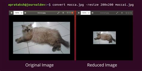 I would like to reduce its size to something a bit more manageable. Reduce File Size of Images in Linux - CLI and GUI methods ...