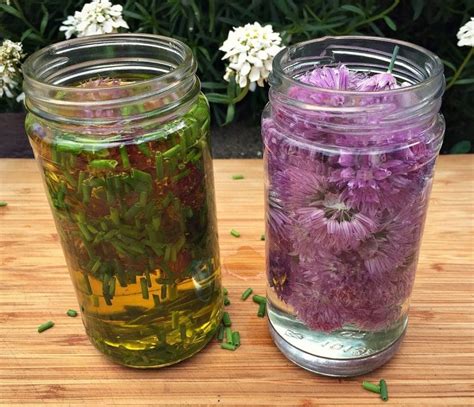 Over 6,796 chive flower pictures to choose from, with no signup needed. Chive Blossom Oil and Vinegar | Recipe | Chive flowers ...