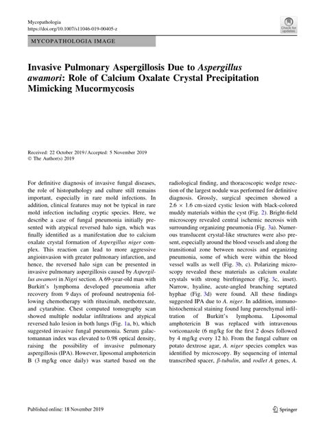Pdf Invasive Pulmonary Aspergillosis Due To Aspergillus Awamori Role