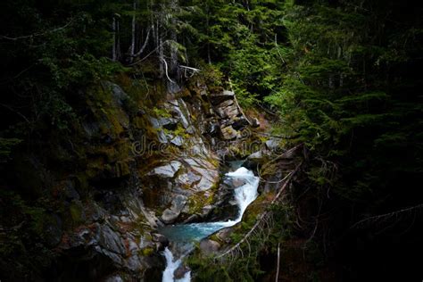 Mountain Stream Cutting Through Rock In Forest Stock Image Image Of