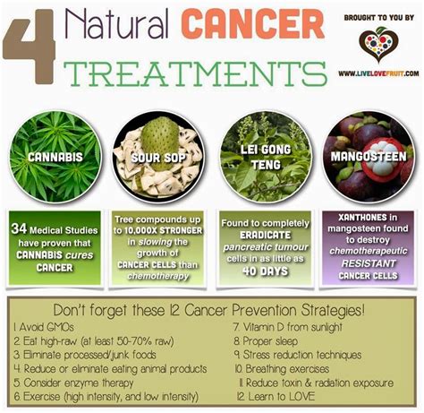 How To Use Natural Remedies For Cancer