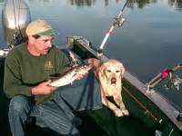 A guide to michigan game fish with fishing, tackle and technique tips from michigan interactive™ and fishweb. Michigan Game Fish - Fishing Tips - Tackle & Techniques ...