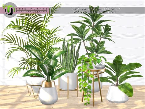 Erin Plants By Nynaevedesign Liquid Sims