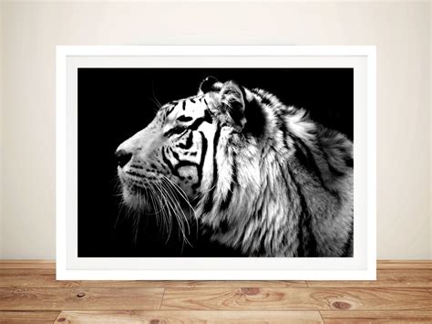 Tiger Black White Canvas Art Prints