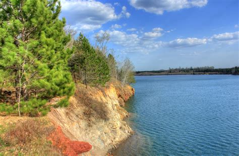 Rugged Shoreline In The Black River Forest Image Free Stock Photo