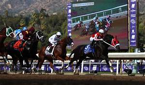 How To Watch All Breeders Cup 2020 Races Online Heavy Com