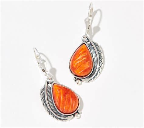 American West Sterling Silver Choice Of Gem Leverback Earrings Qvc Com