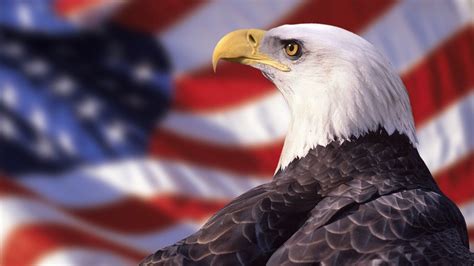 American Flag With Eagle Wallpaper 70 Images
