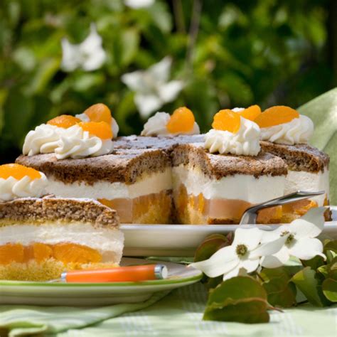 Fanta kuchen ohne backen mit frischen aprikosen i no bake cake. Mandarinentorte | Rezept | Kuchen und torten, Kuchen und ...