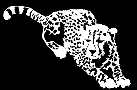 Download Cheetah svg for free - Designlooter 2020 👨‍🎨