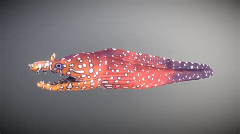 Hawaiian Dragon Moray Eel 3d Model By Leotide 64ff7c0 Sketchfab
