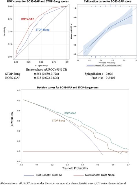 Receiver Operating Characteristic Curve Calibration Curve And Decision