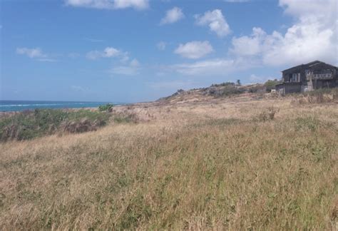 11 5 Acres Residential Land St Philip Barbados Property For Sale And For Rent