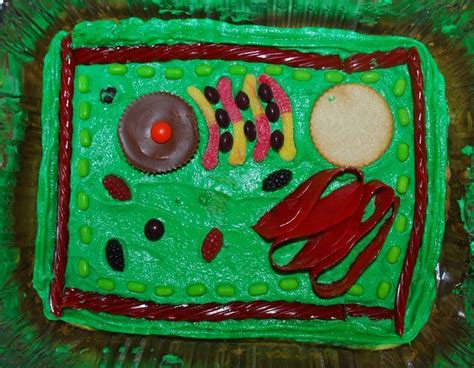 3d Plant Cell Cakes Fun Easy Way To Learn About Plant Cells Cell
