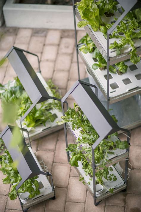 Check spelling or type a new query. New from Ikea: A Hydroponic Countertop Garden Kit - Gardenista