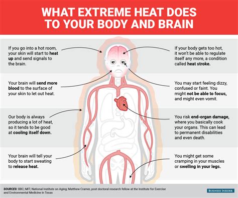 What Happens To Your Body And Brain When You Get Too Hot