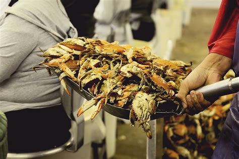 6 washington street, cambridge, md 21613. Sifting Through Life: Crabs and Cambridge, MD. | Crab ...