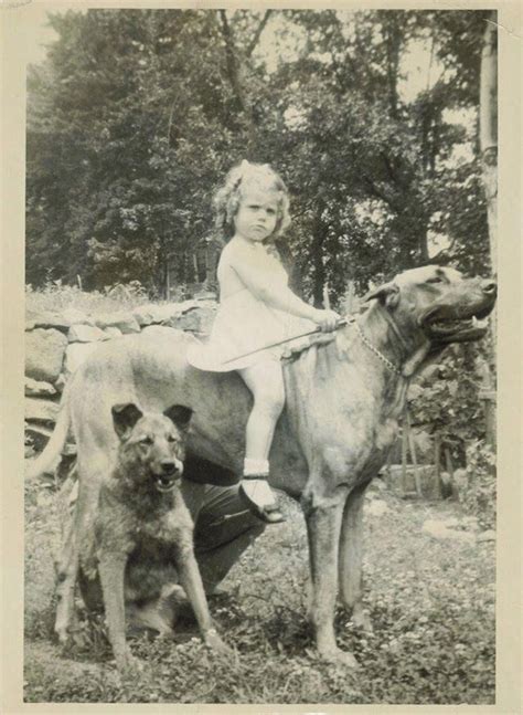 A Fearless Girl Riding A Large Hound While Another Dog Sits Beside
