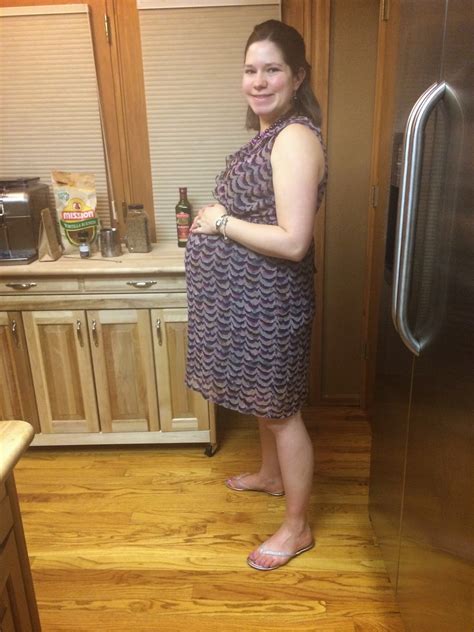 The Ongoing Planner Pregnancy 20 Weeks 33 37