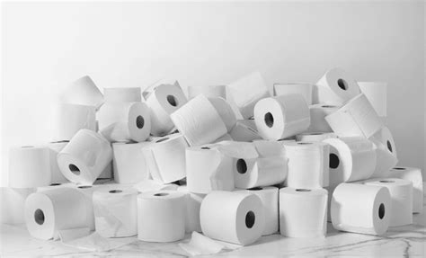 Septic Safe Toilet Paper 5 Best Toilet Paper For 2022 In 2022 Best