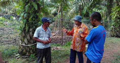 Pinjam online cepat cair 24 jam bayar tenor lama. PEJABAT CANCEL: ADUAN AWAM