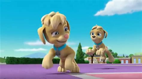 Paw Patrol Clip Mighty Pups Super Paws Tuck And Ella Play Tag