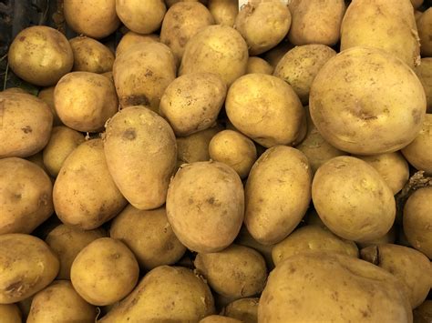 Friese Borgers Aardappelen Per Kilo Groente Fruit En Aardappelen Online Bestellen