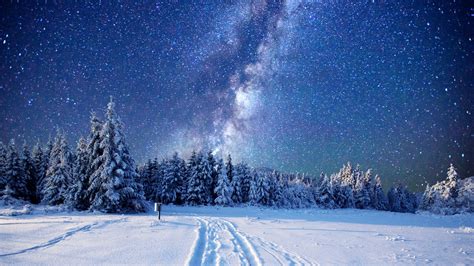 Wallpaper Forest Snow Winter Sky Stars Night 5k Nature 17354