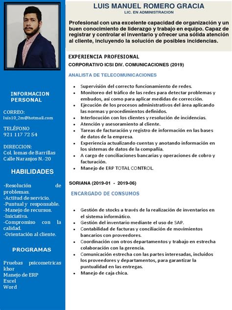 Luis Manuel Romero Gracia Pdf Planificación De Recursos