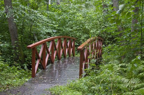 Free Images Landscape Forest Wilderness Trail Bridge Old