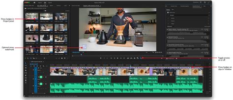 Learn How To Blur Background Premiere Pro 2022 With These Easy Steps