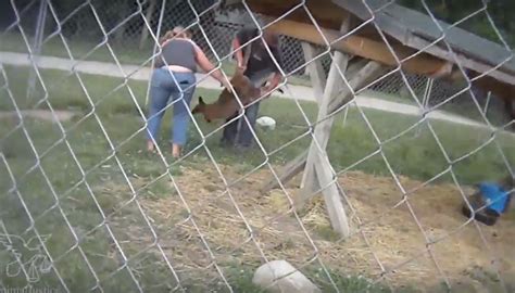 Secret Footage Shows Shocking Animal Abuse At Ottawa Area Zoo