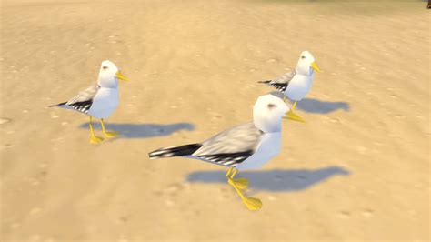 Sims 4 Seagull Appreciation Post Rsims4