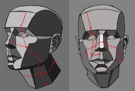 How To Draw A Face Facial Proportions Planes Of The Face Face