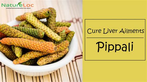 Indian Long Pepper Pippali Top 6 Health Benefits Natureloc Youtube