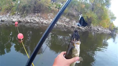 Canyon Lake Fishing 2017 Compilation - YouTube