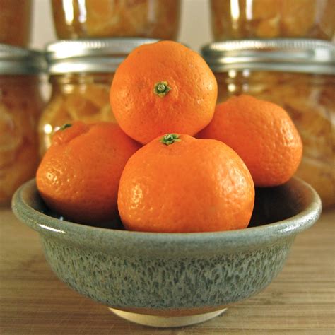 Arctic Garden Studio How To Can Mandarin Oranges