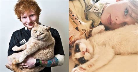 6 Celebs Who Are Obsessed With Their Cats Fly Fm