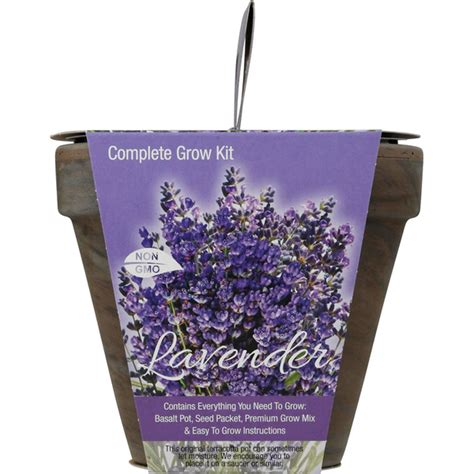Totalgreen Holland Complete Grow Kit Lavender 1 Each Delivery Or