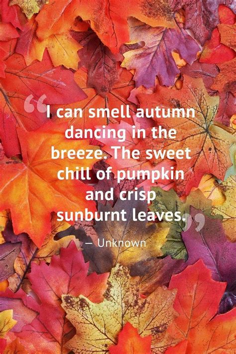 Pin By Pam Vickie Smith On Favorite Time Of Year Autumn Quotes Beautiful Fall Seasons